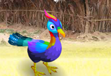 Peacock In The Trouble